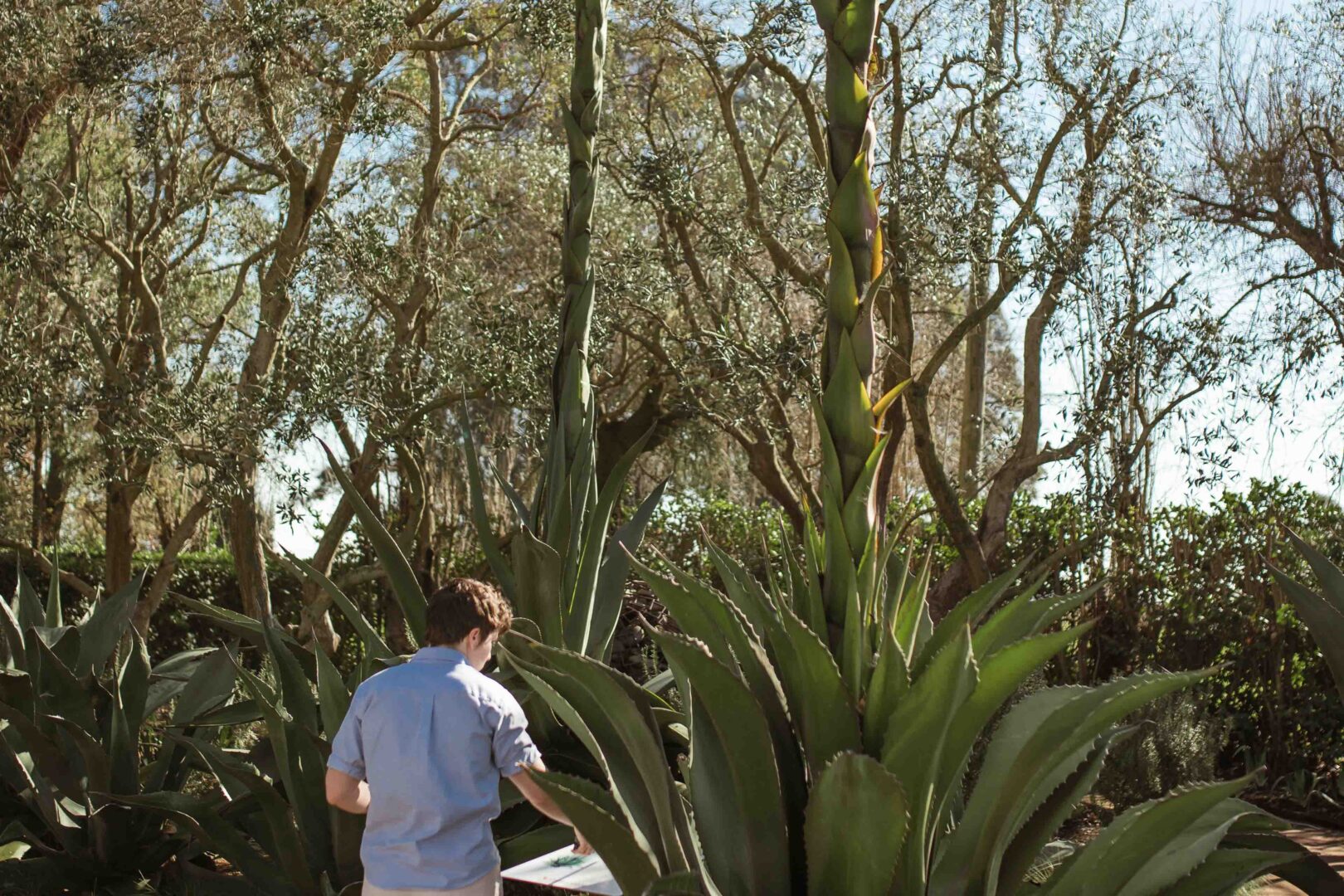 A Person Looking At Plants In Cornerstone Gardens